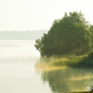 Morning Mist 1